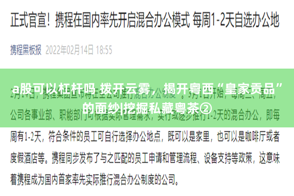 a股可以杠杆吗 拨开云雾，揭开粤西“皇家贡品”的面纱|挖掘私藏粤茶②