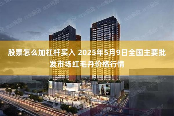 股票怎么加杠杆买入 2025年5月9日全国主要批发市场红毛丹价格行情
