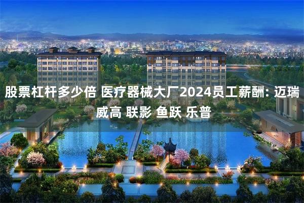 股票杠杆多少倍 医疗器械大厂2024员工薪酬: 迈瑞 威高 联影 鱼跃 乐普