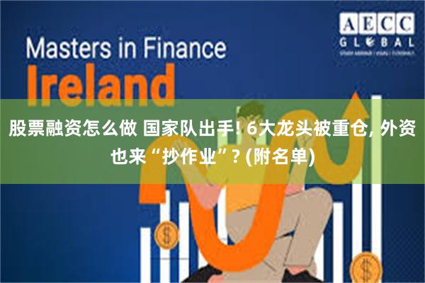 股票融资怎么做 国家队出手! 6大龙头被重仓, 外资也来“抄作业”? (附名单)