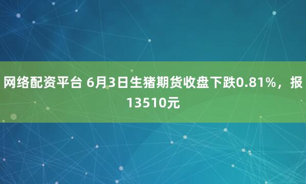 网络配资平台 6月3日生猪期货收盘下跌0.81%，报13510元