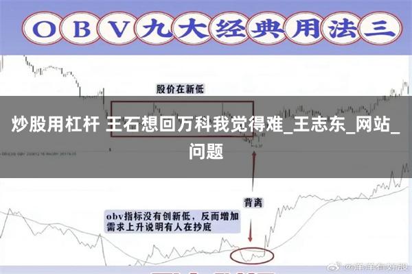 炒股用杠杆 王石想回万科我觉得难_王志东_网站_问题
