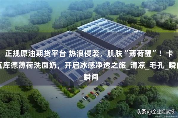 正规原油期货平台 热浪侵袭，肌肤“薄荷醒”！卡瓦库德薄荷洗面奶，开启冰感净透之旅_清凉_毛孔_瞬间