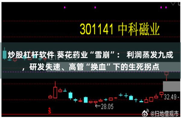 炒股杠杆软件 葵花药业“雪崩”： 利润蒸发九成，研发失速、高管“换血”下的生死拐点