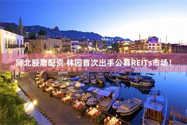 河北股票配资 林园首次出手公募REITs市场！